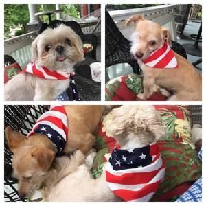 Meet your Posher, Karen